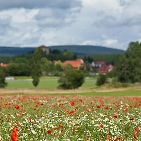 Mit Terrasse * Harzgerode