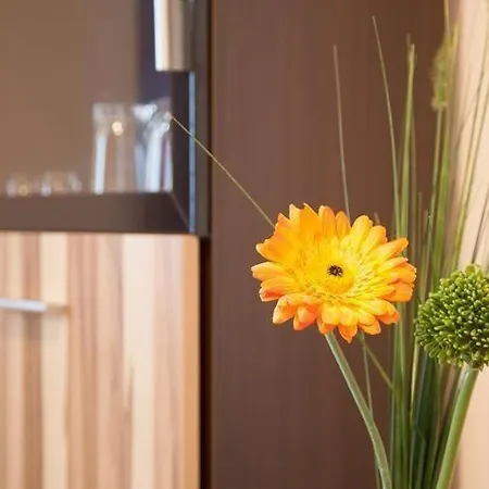 Apartment Mit Terrasse Harzgerode